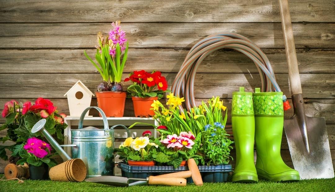 5 Ways Gardening Can Improve Your Life Cover Photo