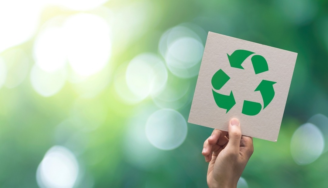 Sustainable Living: How To Be More Eco-Friendly Cover Photo