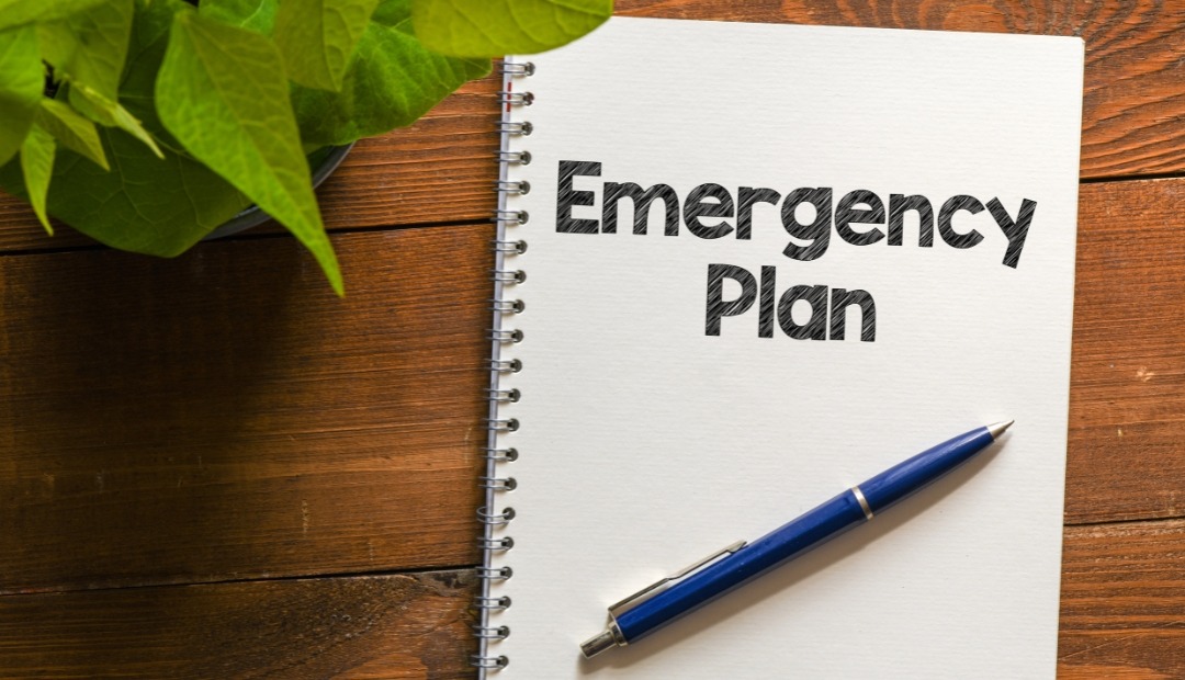 Image for Equipped and Unshakable: Key Strategies for Effective Emergency Preparedness in Your Apartment