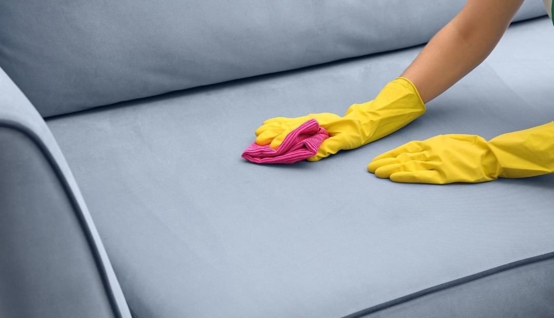 Step-by-Step Guide to Cleaning Your Couch and Getting Rid of Stains Cover Photo