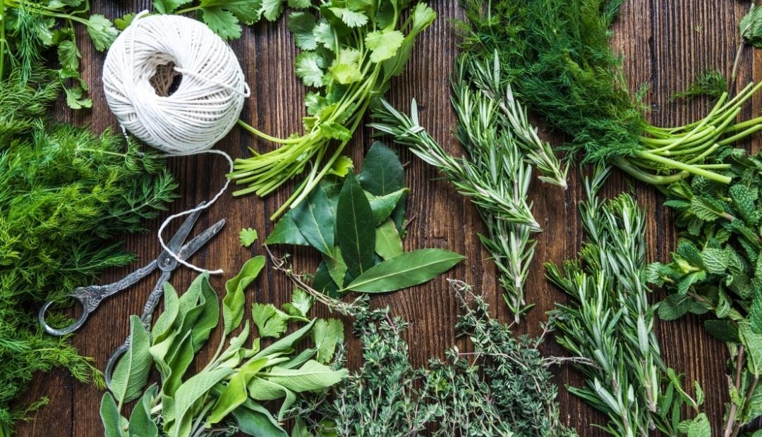 3 Effective Ways to Preserve Herbs Cover Photo