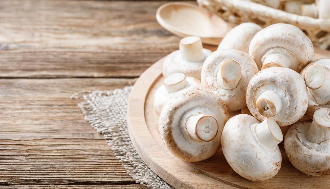 5 Benefits Of Eating Mushrooms	 Cover Photo