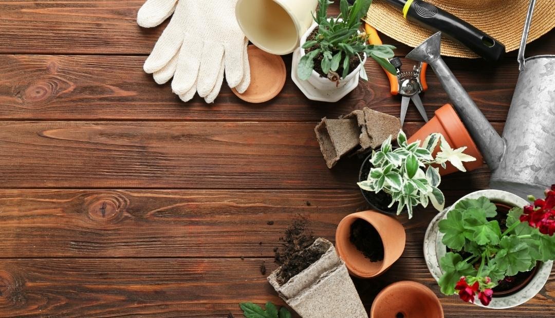 Gardening: 5 Ways It Can Enhance Your Life Cover Photo