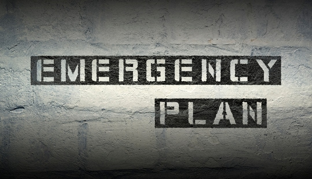 Image for Creating a Resilient Plan: How to Strategize for Unforeseen Emergencies