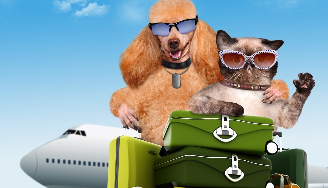 Image for Adventures with Furry Companions: Making Travel Pawsitively Fun