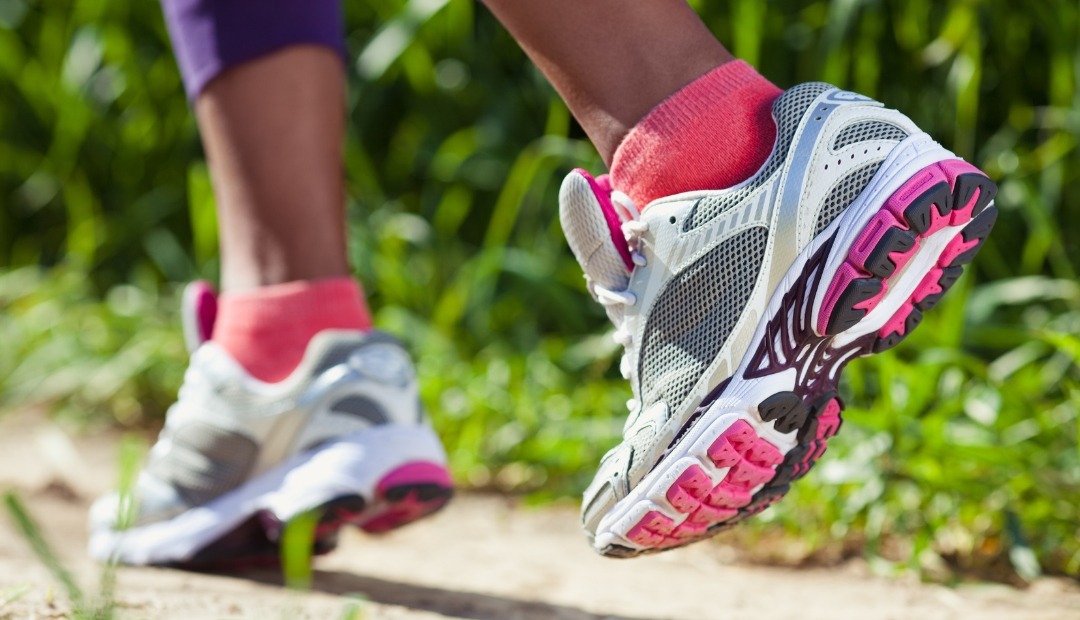 Image for Take the Path to Longevity: A Step-by-Step Guide to a Healthier You Through Walking