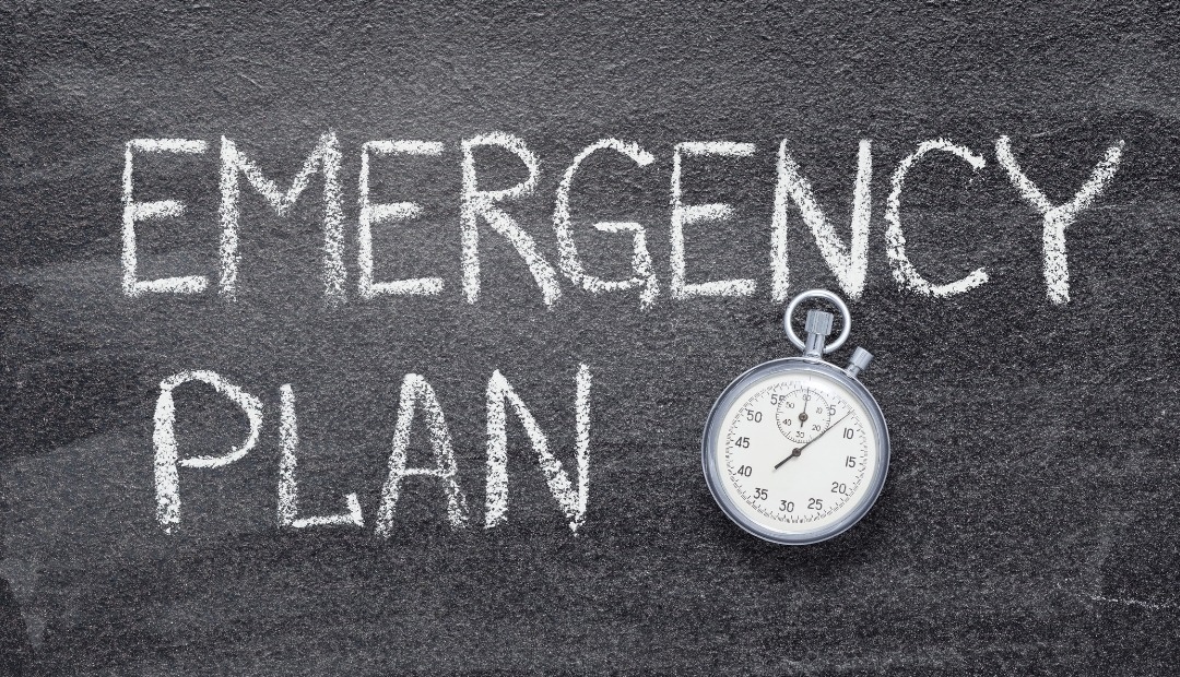 Image for Being Ready for Anything: Crafting Your Personal Emergency Preparedness Plan