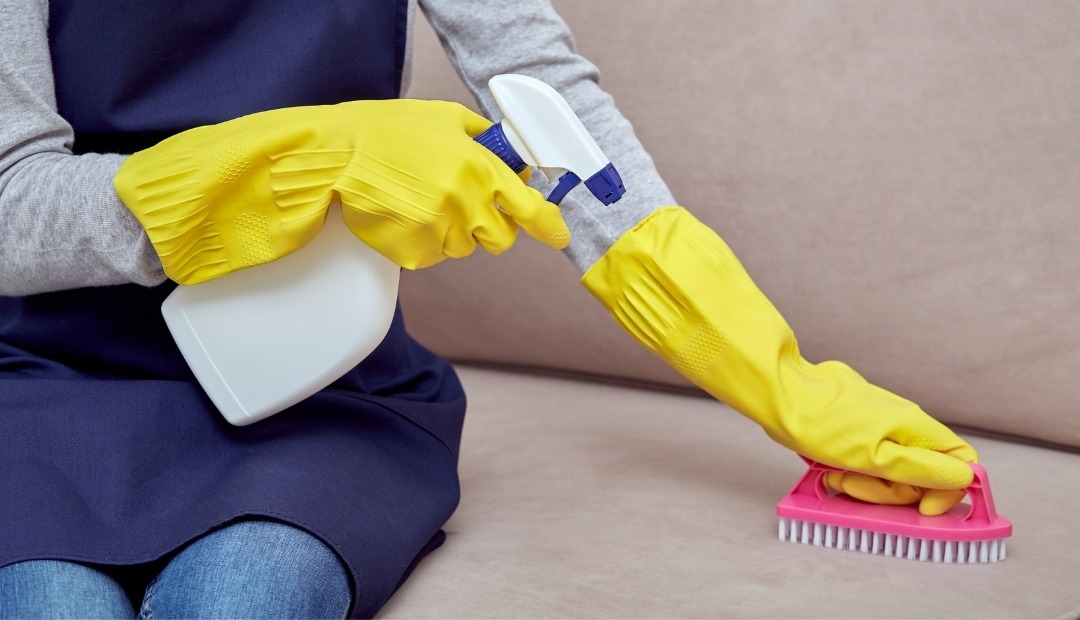 Cleaning Guide: Making Your Couch Look as Good as New Cover Photo
