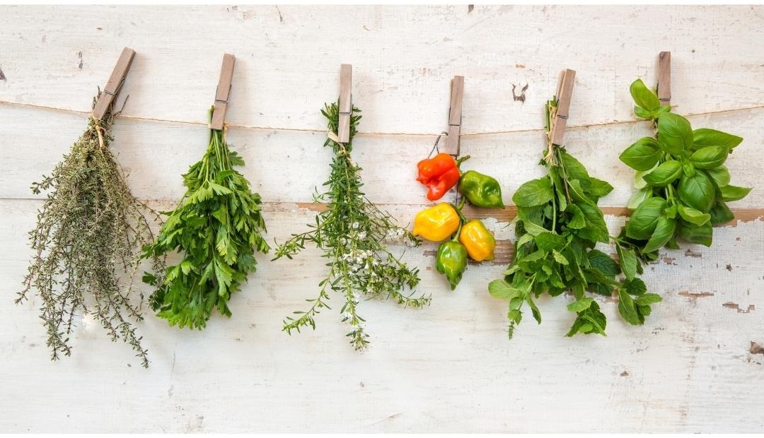How to Extend the Shelf Life of Herbs: 3 Easy Ways Cover Photo