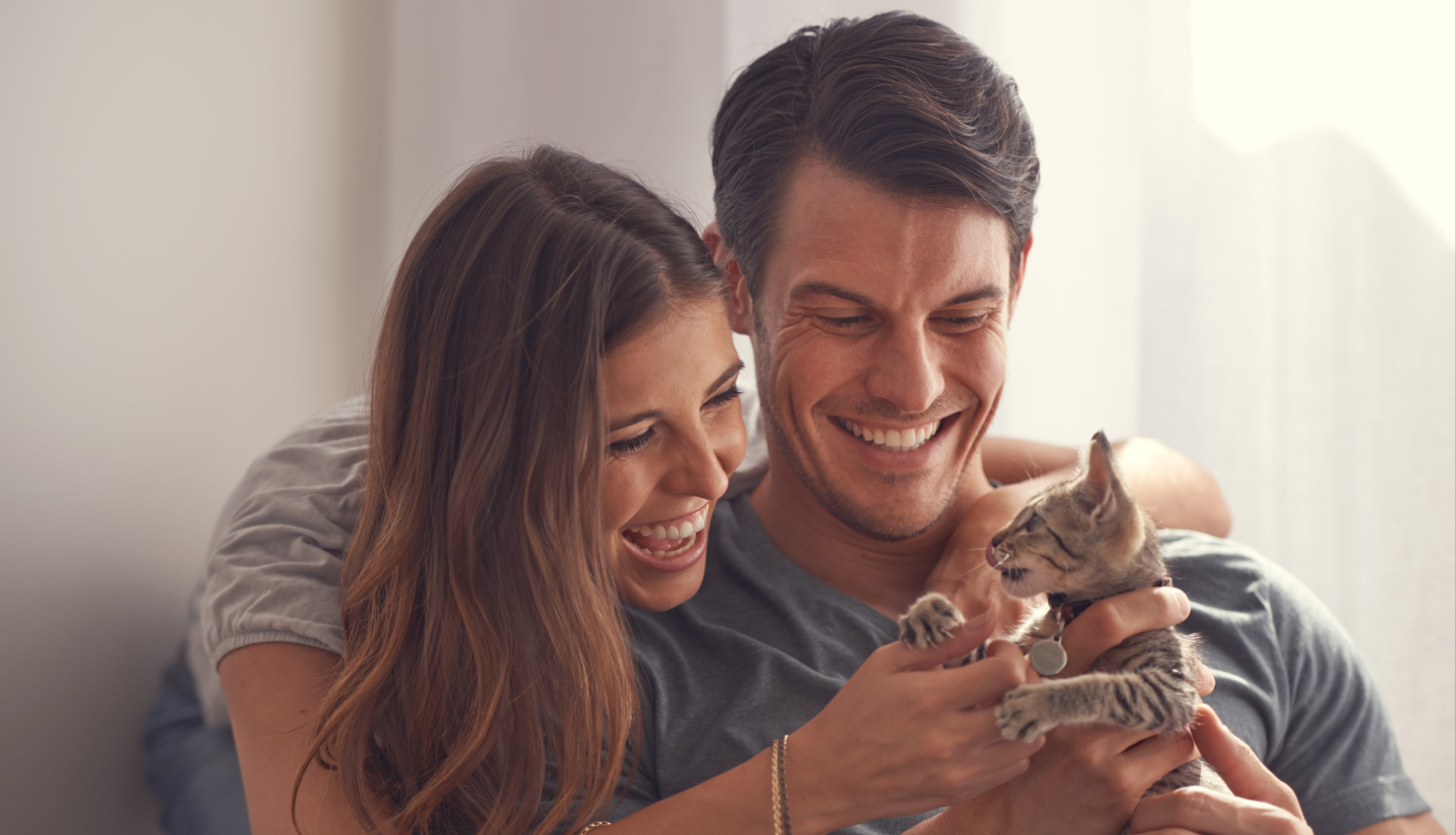 5 Easiest Pets to Care for in Small Apartments Cover Photo