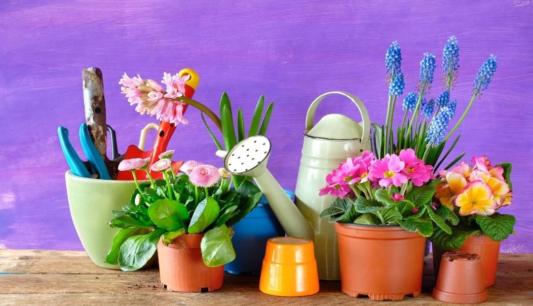 5 Ways Gardening Can Change Your Life For The Better Cover Photo